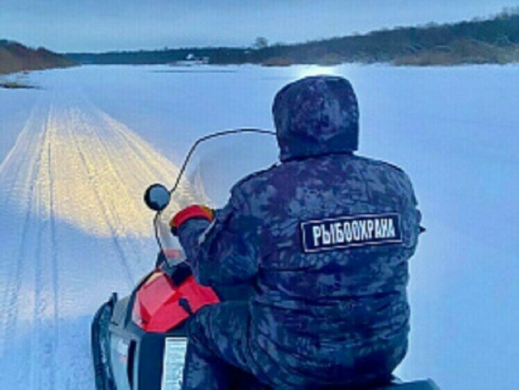 Изображение На Псковском озере браконьер наловил на уху и на уголовное дело 