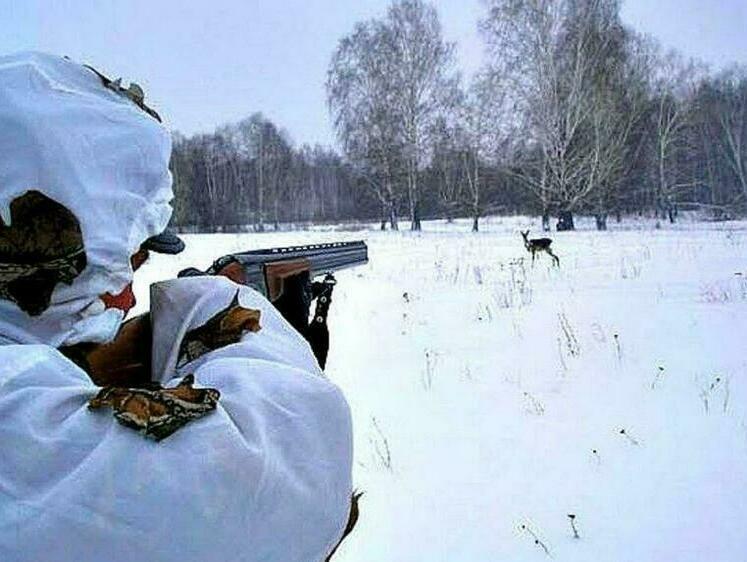 Изображение В Иркутской области незаконно отстреляли косуль с миллионным ущербом