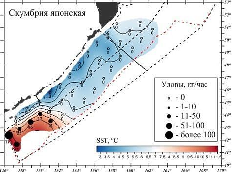 Изображение Ученые искали лосося, а обнаружили скопления скумбрии и сардин