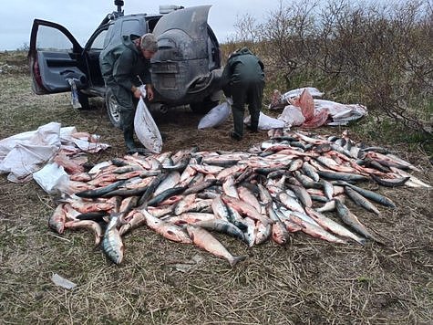 Изображение Полиция активно борется с браконьерами