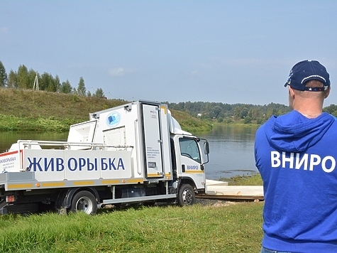 Изображение О текущих зарыблениях Волги и Урала