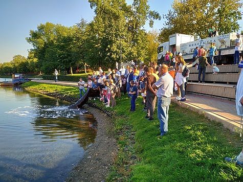 Изображение Предвыборная кампания - способ восстановления водных ресурсов