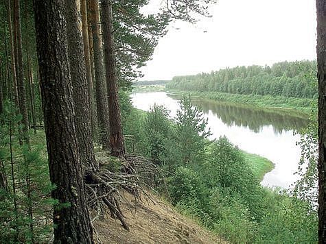 Изображение Выпущено около 320 тысяч мальков стерляди в Оку