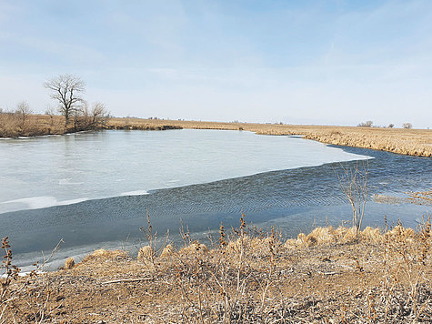 Изображение В Волгограде ловят по открытой воде