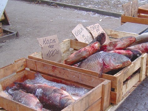 Изображение Оптовые и розничные цены на рыбу продолжают идти в разные стороны