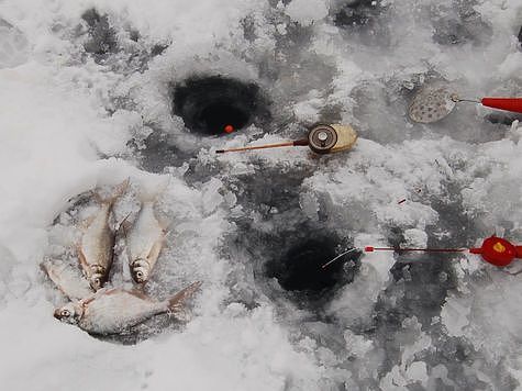 Изображение Рыболовы Калуги ждут морозы