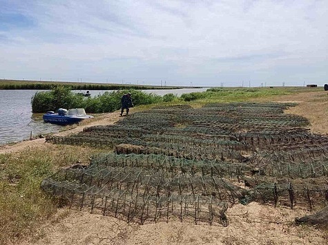 Изображение Браконьеры надоели местным жителям