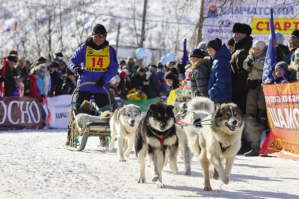 Записи по тегу #sledding | Just Dogs: собаки | ВКонтакте