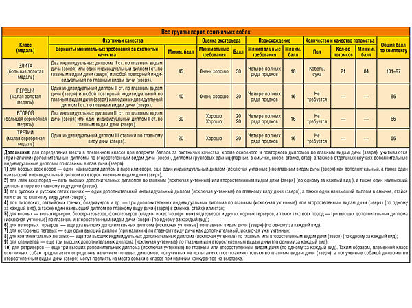 Бонитировка собак