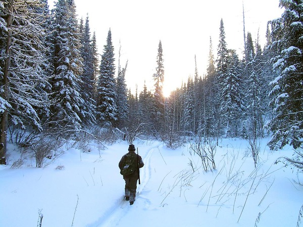 Охотники за холодом. Cold Hunter SAR.