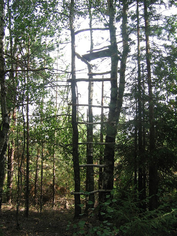Лабаз на дереве: пошаговая инструкция, советы и рекомендации, фото