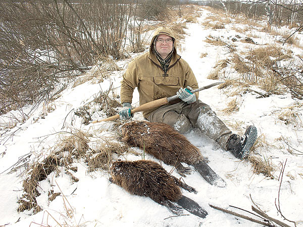 В Пермском крае в железной петле нашли мертвого лося
